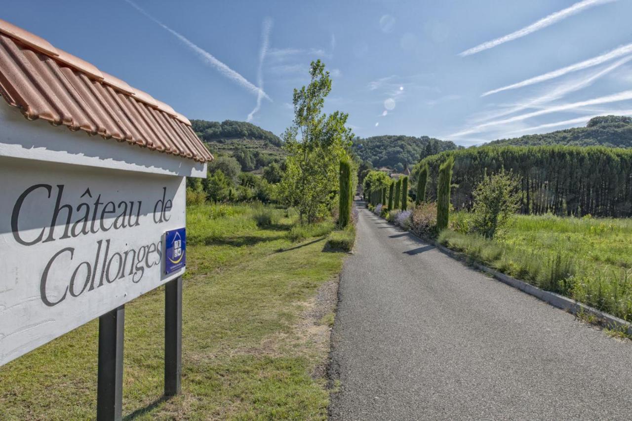 Chateau De Collonges Saint-Donat-sur-l'Herbasse Ngoại thất bức ảnh